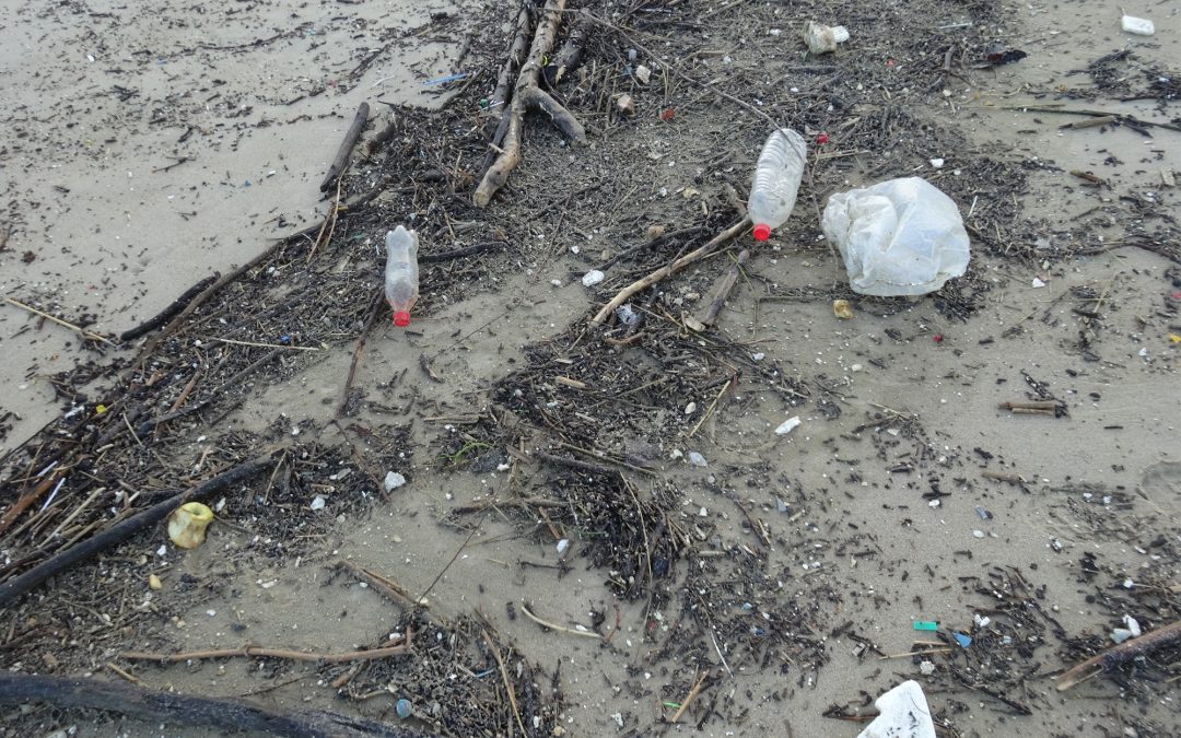 Comment gérer les déchets qui échouent en mer depuis les fleuves