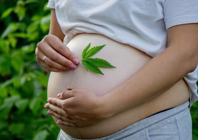 Les cannabinoïdes peuvent améliorer l’efficacité de la reproduction in vitro